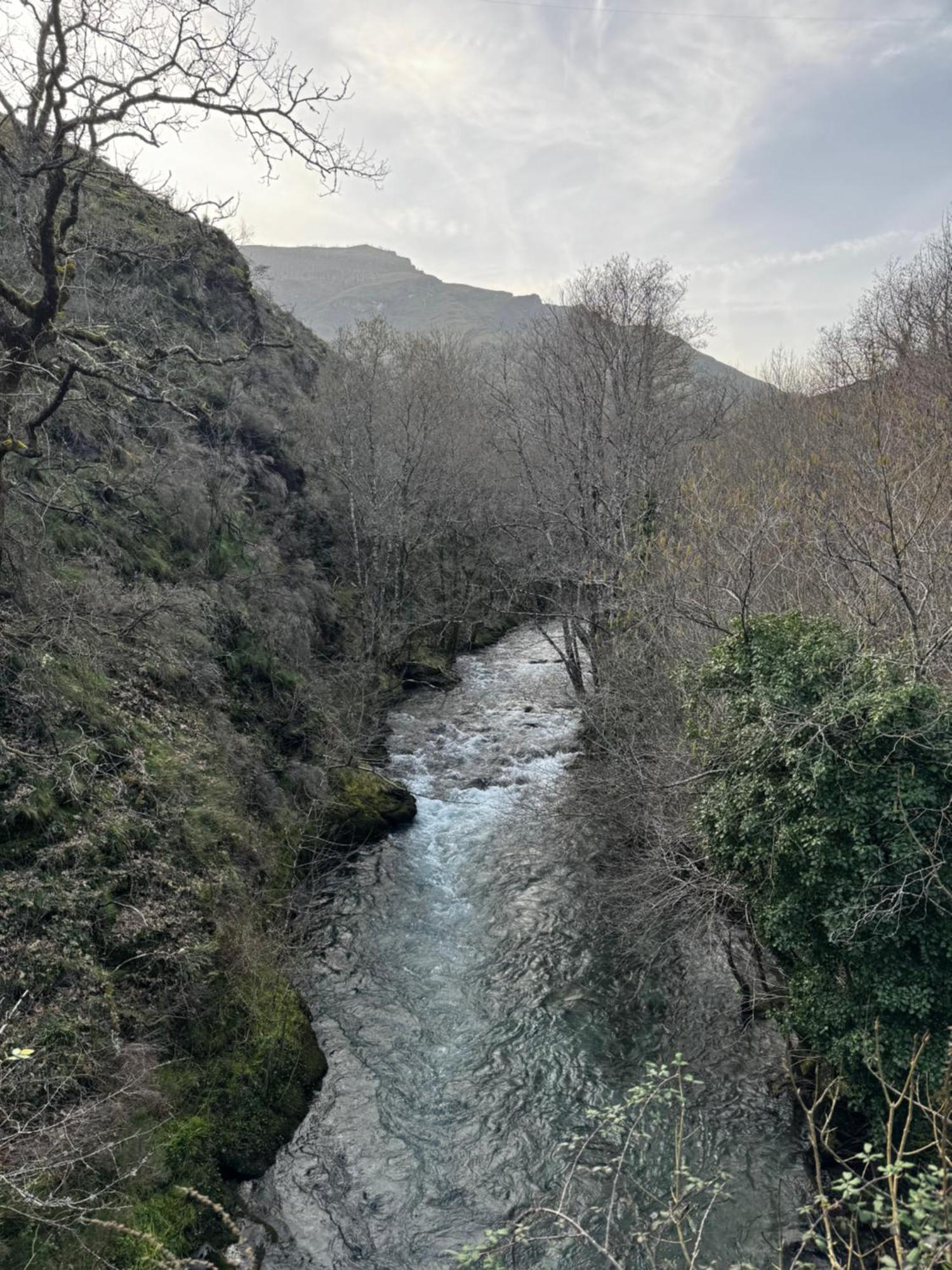 A Barreira -Lar Da Cima- Διαμέρισμα Folgoso do Courel Εξωτερικό φωτογραφία